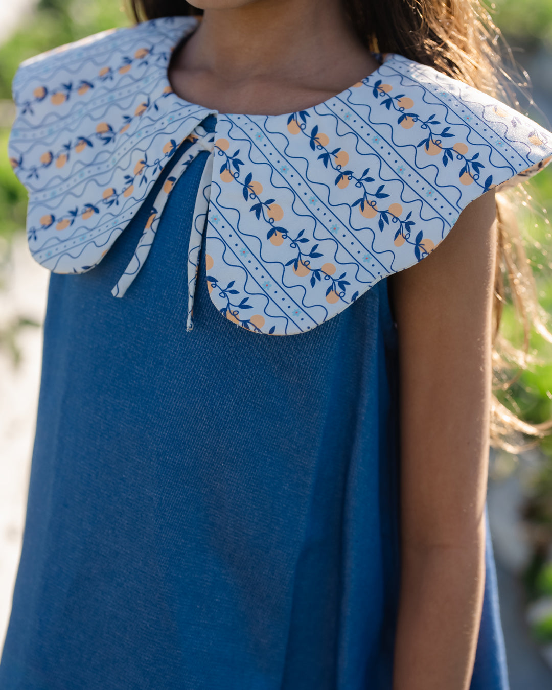 Butterfly Colar Dress