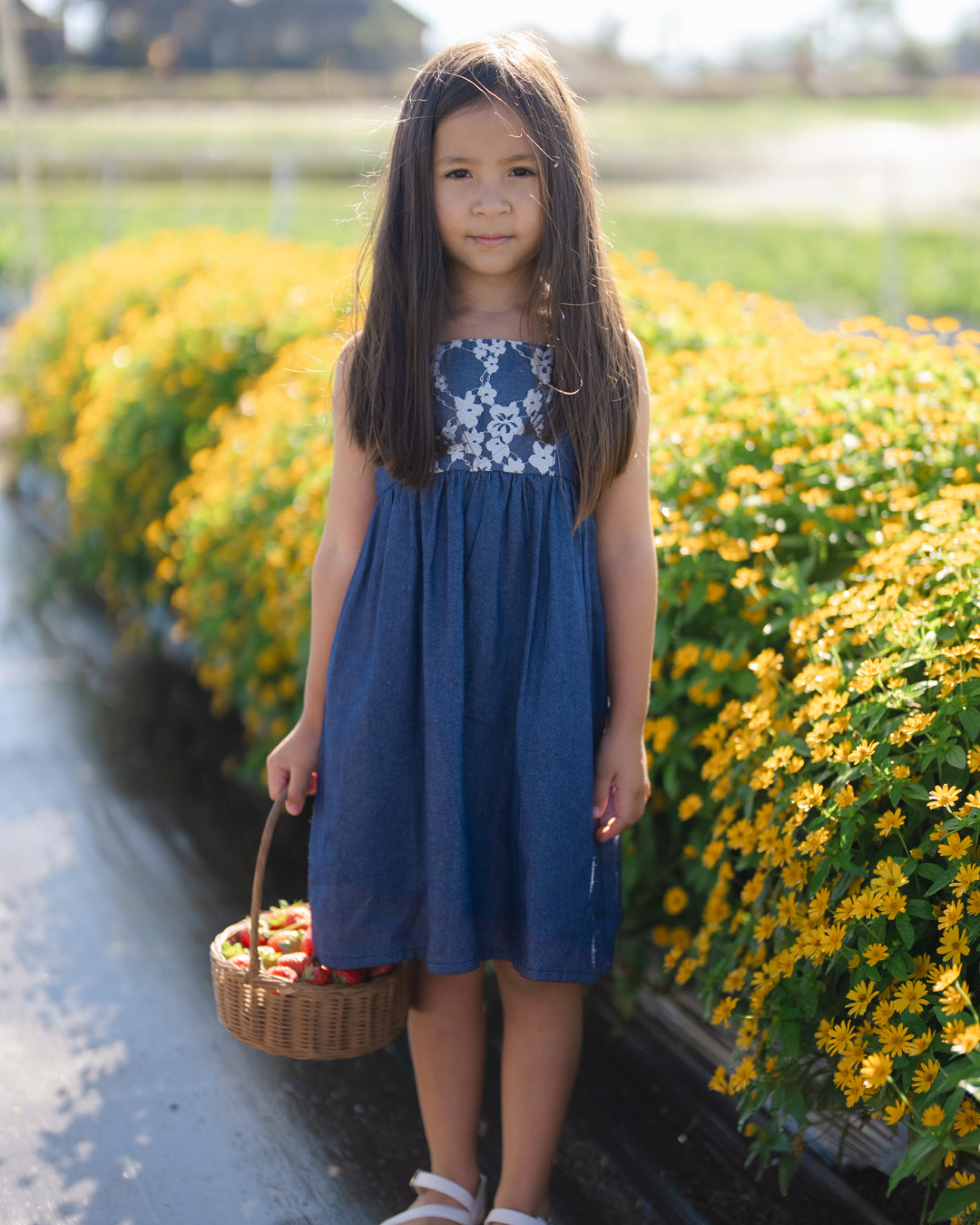Isabelle Dress