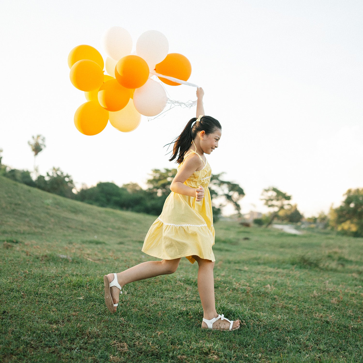 Twirl Dress